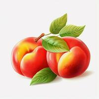 Nectarines 2d vector illustration cartoon in white backgro photo