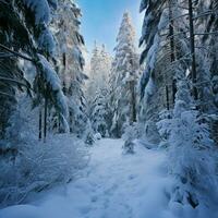 pacífico silencio en un cubierto de nieve alpino bosque foto