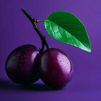 Plum Minimalist wallpaper high quality 4k hdr photo