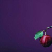 Plum Minimalist wallpaper high quality 4k hdr photo