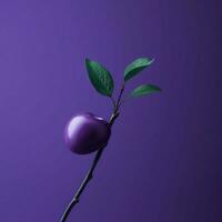 Plum Minimalist wallpaper high quality 4k hdr photo