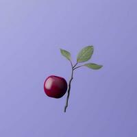 Plum Minimalist wallpaper high quality 4k hdr photo