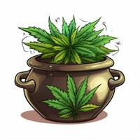 Pot 2d cartoon illustraton on white background high qualit photo