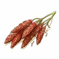 Quinoa 2d vector illustration cartoon in white background photo