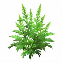 Ragweed 2d cartoon vector illustration on white background photo