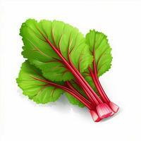 Rhubarb 2d vector illustration cartoon in white background photo