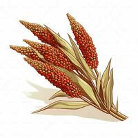 Sorghum 2d vector illustration cartoon in white background photo
