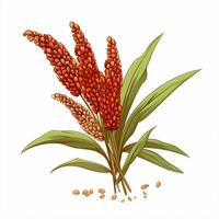 Sorghum 2d vector illustration cartoon in white background photo