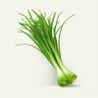 Spring onion 2d cartoon illustraton on white background hi photo