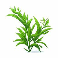 Tarragon 2d cartoon vector illustration on white backgroun photo