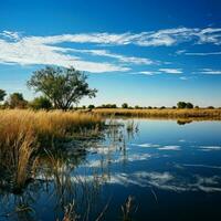 Tranquility of a still pond reflecting a clear blue sky photo