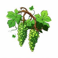 Vine 2d cartoon vector illustration on white background hi photo