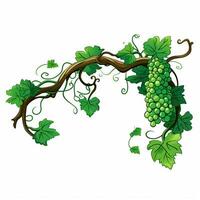 Vine 2d cartoon vector illustration on white background hi photo