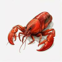 Yabby 2d vector illustration cartoon in white background h photo