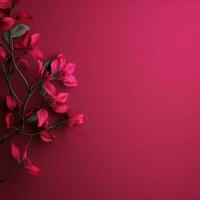 fushia Minimalist wallpaper high quality 4k hdr photo