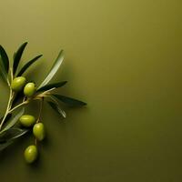 olive Minimalist wallpaper high quality 4k hdr photo