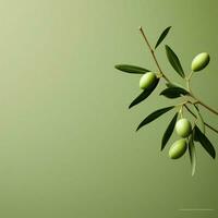 aceituna minimalista fondo de pantalla alto calidad 4k hdr foto