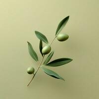 olive Minimalist wallpaper high quality 4k hdr photo