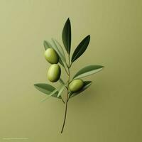 aceituna minimalista fondo de pantalla alto calidad 4k hdr foto