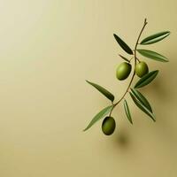 olive Minimalist wallpaper high quality 4k hdr photo