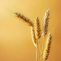 wheat color Minimalist wallpaper high quality 4k hdr photo