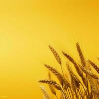 wheat color Minimalist wallpaper high quality 4k hdr photo