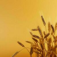 wheat color Minimalist wallpaper high quality 4k hdr photo