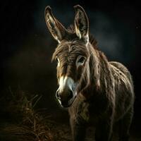 Donkey Aesthetic realistic cinematic raw epic macro photo