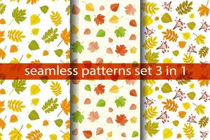 Multicolored autumn leaves seamless patterns, set of autumn maple and birch leaves, and rowanberry on white background vector