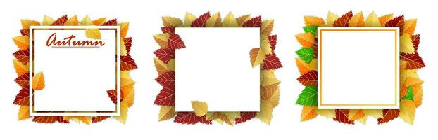 Autumn background with autumn bright leaves and square frame, paper white sheet on white background. Vector illustration. Template, layout, mockup for posters, brochures, invitations, certificates