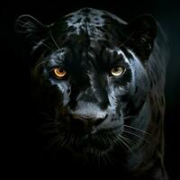 Panther image hd photo