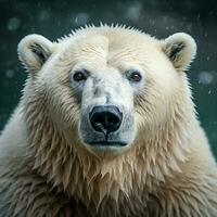 polar oso salvaje vida fotografía hdr 4k foto