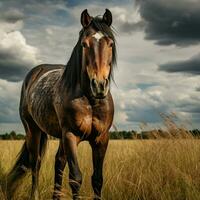 photo of Horse full shot high quality hdr 16k ultra hd