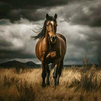 photo of Horse full shot high quality hdr 16k ultra hd