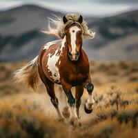 photo of Horse full shot high quality hdr 16k ultra hd