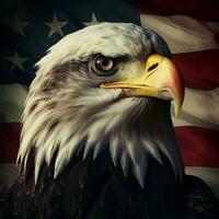 united state eagle photo