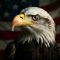 united state eagle photo