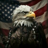 united state eagle photo