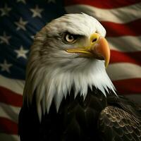 united state eagle photo