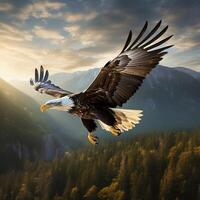 united states eagle flying photo