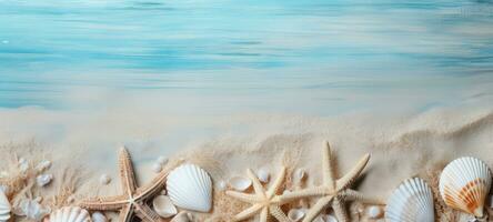 seashells on the beach sea sand summer, ai photo