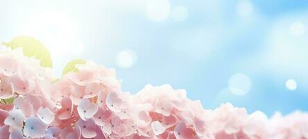 dreamy beautiful hydrangea flowers closeup, ai photo