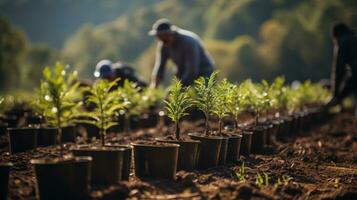 A group of volunteers are planting trees in a treeless area. Generative AI photo