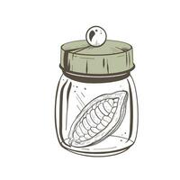 Vector illustration of closed glass container with solid lid and cocoa pod inside. Black outline, graphic drawing in curves. For postcards, design and composition decoration, prints, posters, stickers