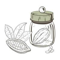 Vector illustration set of closed glass container with solid lid and cocoa pod inside, leaves and seeds. Black outline, graphic drawing in curves. For postcards, design and composition decoration