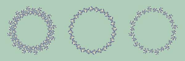 Set of floral isolated vector wreaths, branches with purple leaves and light cream flowers on pistachio background. Vector illustration, design for poster, banner, invitation, book, fabric, wrapping