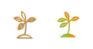 Plant Vector Icon