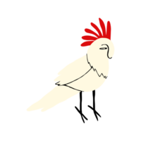 Cute cartoon comic White Cockatoo Parrot. Hand drawn illustration in doodle style png