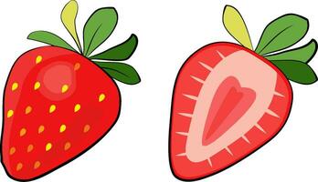 Strawberry and slice of strawberry. Vector illustration set pack