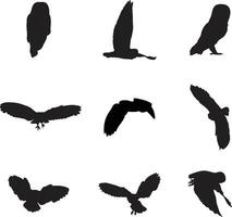 A collection of owls in a variety of positions vector